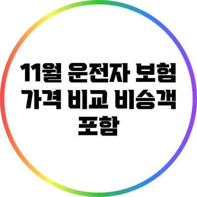 11월 운전자 보험 가격 비교: 비승객 포함