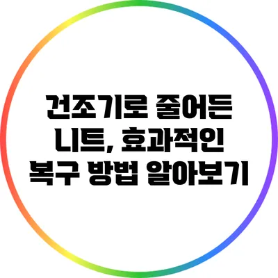 건조기로 줄어든 니트, 효과적인 복구 방법 알아보기