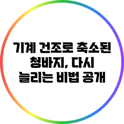 기계 건조로 축소된 청바지, 다시 늘리는 비법 공개