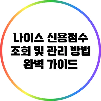 나이스 신용점수 조회 및 관리 방법 완벽 가이드