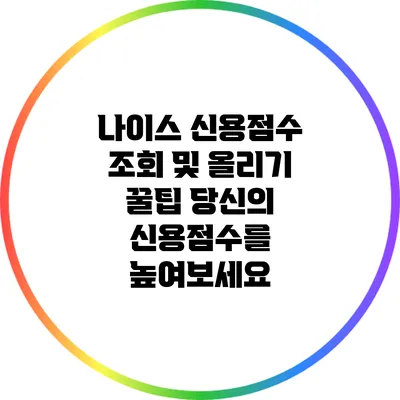 나이스 신용점수 조회 및 올리기 꿀팁: 당신의 신용점수를 높여보세요
