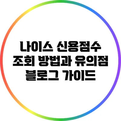 나이스 신용점수 조회 방법과 유의점 블로그 가이드