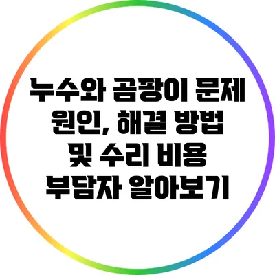 누수와 곰팡이 문제: 원인, 해결 방법 및 수리 비용 부담자 알아보기