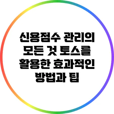 신용점수 관리의 모든 것: 토스를 활용한 효과적인 방법과 팁