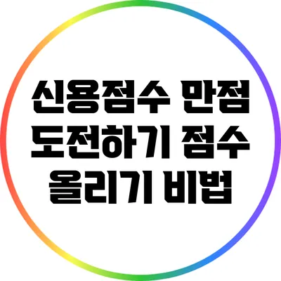 신용점수 만점 도전하기: 점수 올리기 비법