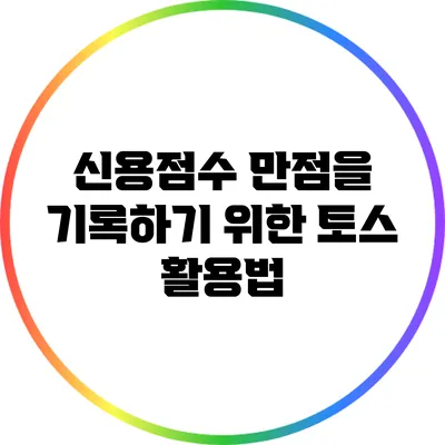 신용점수 만점을 기록하기 위한 토스 활용법