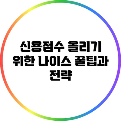 신용점수 올리기 위한 나이스 꿀팁과 전략