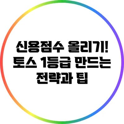신용점수 올리기! 토스 1등급 만드는 전략과 팁