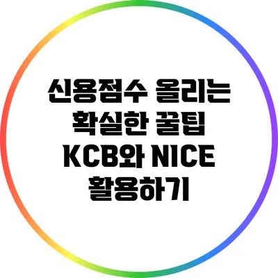 신용점수 올리는 확실한 꿀팁: KCB와 NICE 활용하기