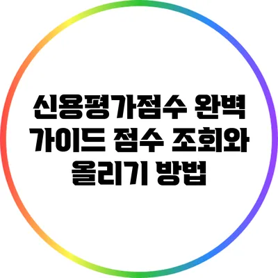 신용평가점수 완벽 가이드: 점수 조회와 올리기 방법