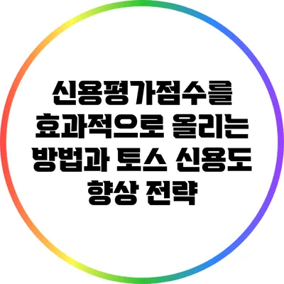 신용평가점수를 효과적으로 올리는 방법과 토스 신용도 향상 전략