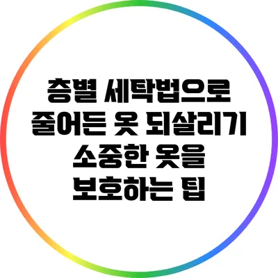 층별 세탁법으로 줄어든 옷 되살리기: 소중한 옷을 보호하는 팁