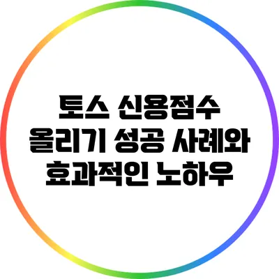 토스 신용점수 올리기: 성공 사례와 효과적인 노하우