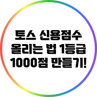 토스 신용점수 올리는 법: 1등급 1000점 만들기!