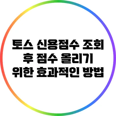 토스 신용점수 조회 후 점수 올리기 위한 효과적인 방법