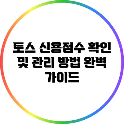 토스 신용점수 확인 및 관리 방법 완벽 가이드