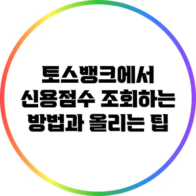 토스뱅크에서 신용점수 조회하는 방법과 올리는 팁