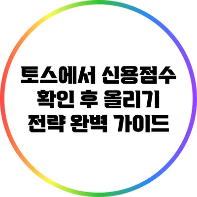토스에서 신용점수 확인 후 올리기 전략 완벽 가이드