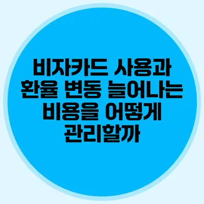 비자카드 사용과 환율 변동: 늘어나는 비용을 어떻게 관리할까?