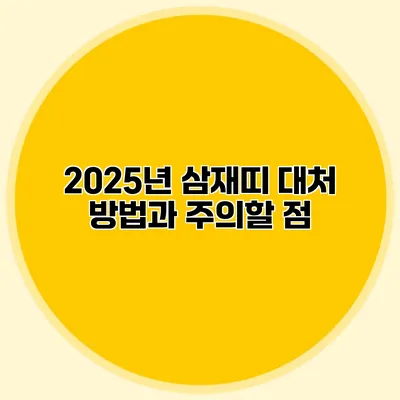 2025년 삼재띠 대처 방법과 주의할 점