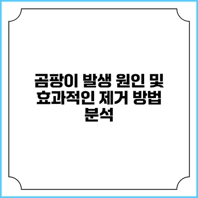 곰팡이 발생 원인 및 효과적인 제거 방법 분석