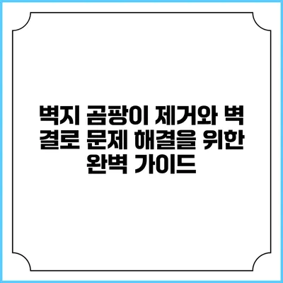 벽지 곰팡이 제거와 벽 결로 문제 해결을 위한 완벽 가이드