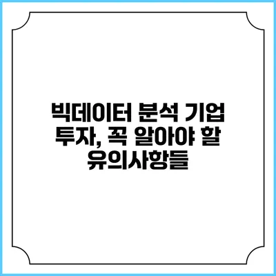 빅데이터 분석 기업 투자, 꼭 알아야 할 유의사항들