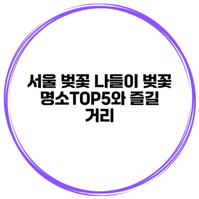 서울 벚꽃 나들이 벚꽃 명소TOP5와 즐길 거리