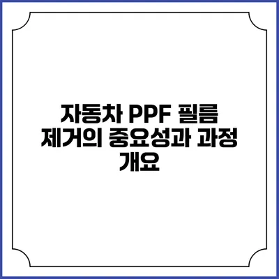 자동차 PPF 필름 제거의 중요성과 과정 개요