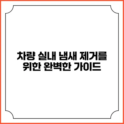 차량 실내 냄새 제거를 위한 완벽한 가이드