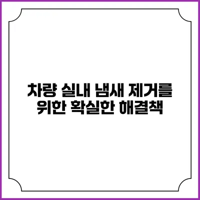 차량 실내 냄새 제거를 위한 확실한 해결책