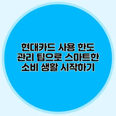 현대카드 사용 한도 관리 팁으로 스마트한 소비 생활 시작하기