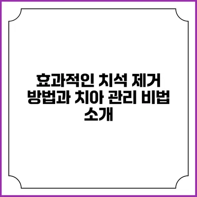 효과적인 치석 제거 방법과 치아 관리 비법 소개