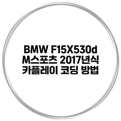 BMW F15X530d M스포츠 2017년식 카플레이 코딩 방법
