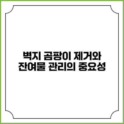 벽지 곰팡이 제거와 잔여물 관리의 중요성