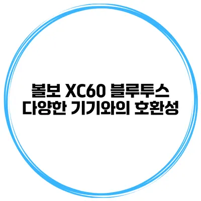 볼보 XC60 블루투스 다양한 기기와의 호환성