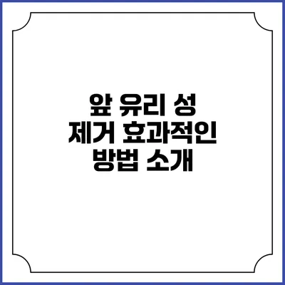 앞 유리 성 제거 효과적인 방법 소개