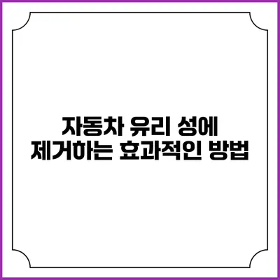 자동차 유리 성에 제거하는 효과적인 방법