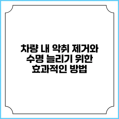 차량 내 악취 제거와 수명 늘리기 위한 효과적인 방법