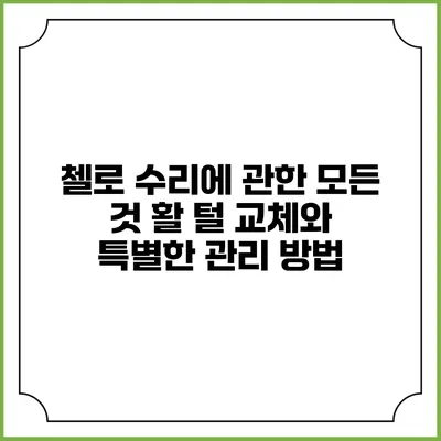 첼로 수리에 관한 모든 것: 활 털 교체와 특별한 관리 방법