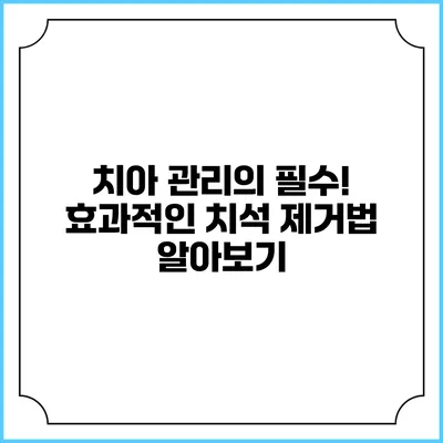치아 관리의 필수! 효과적인 치석 제거법 알아보기