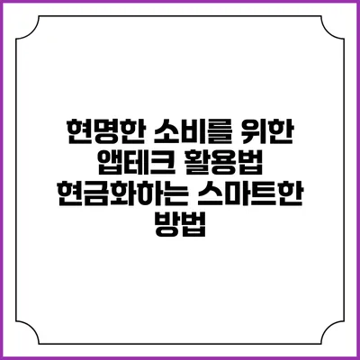 현명한 소비를 위한 앱테크 활용법: 현금화하는 스마트한 방법